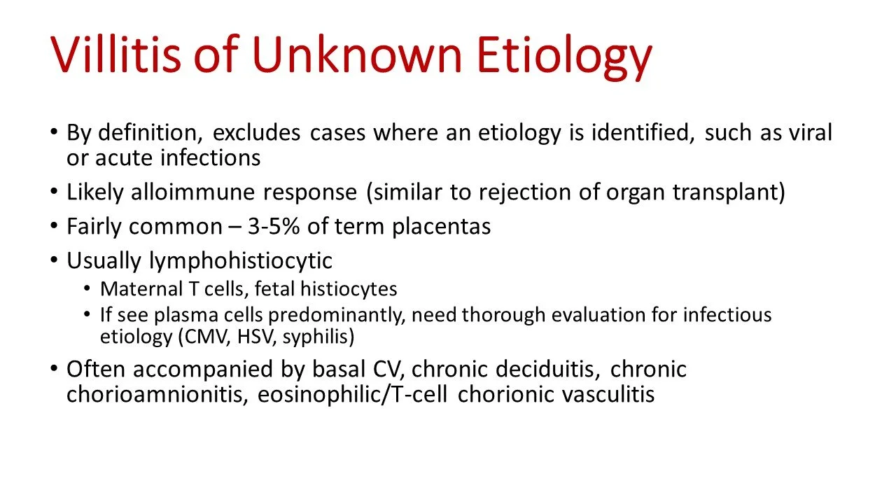 Slide35.JPG