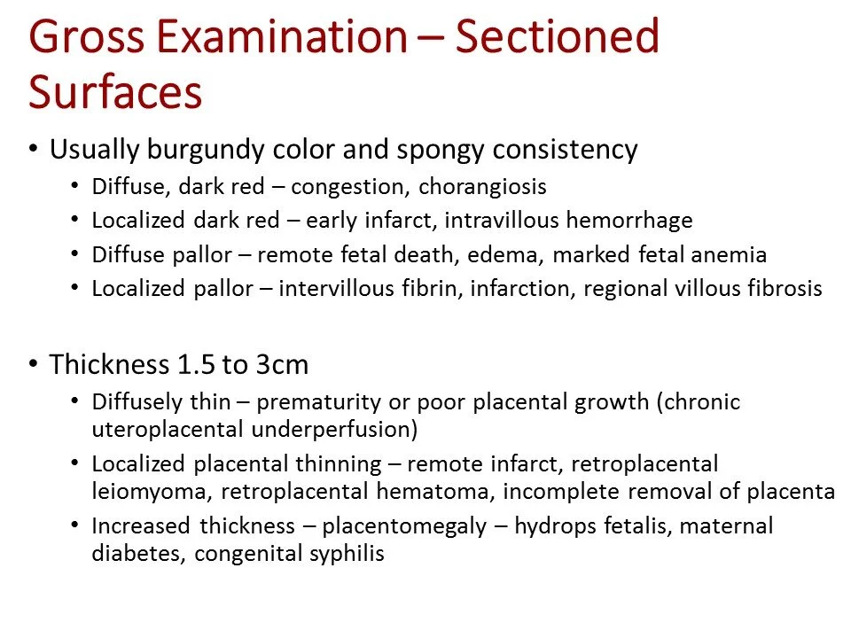 Slide60.JPG