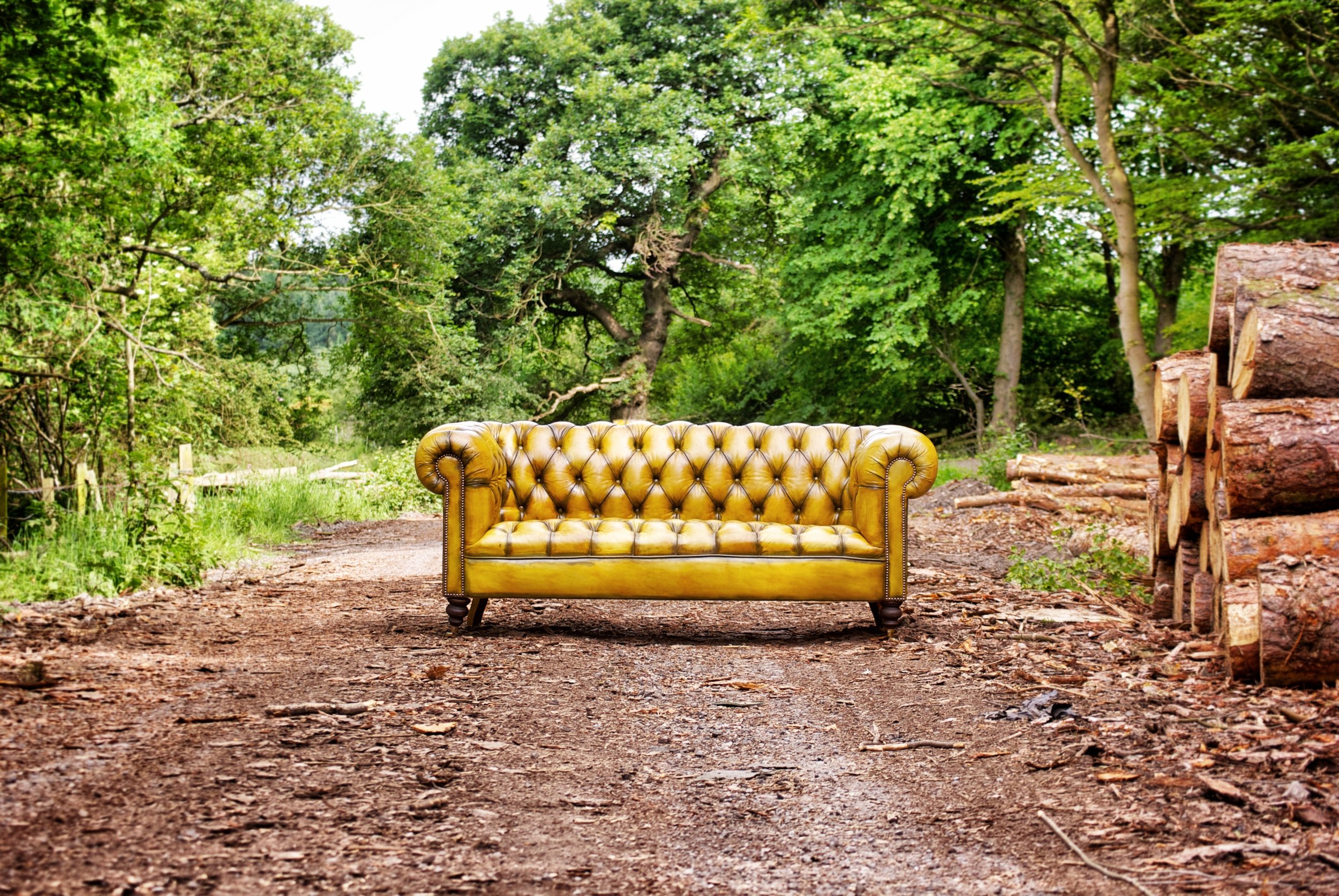 Sofa-image.jpg