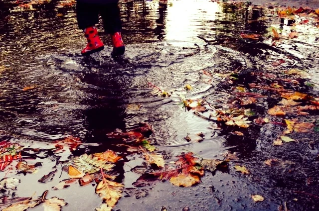 4 Immunity-boosting tips for Autumn