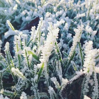 5 Ways to find balance in Winter