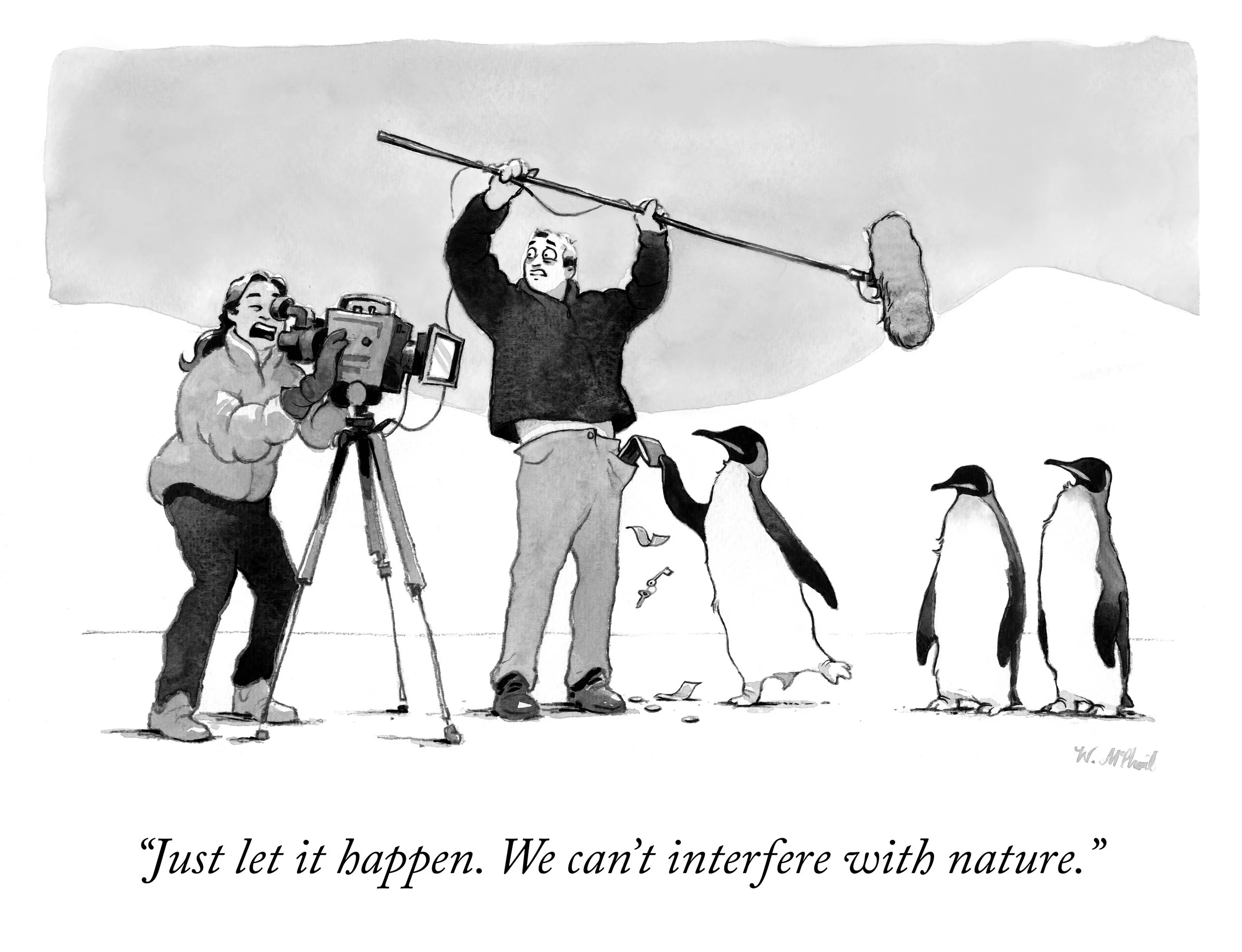 PenguinThief (caption).jpg