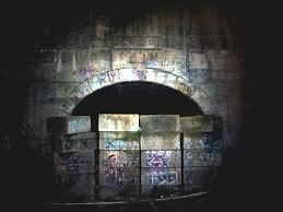 Inunaki tunnel 2.jpeg