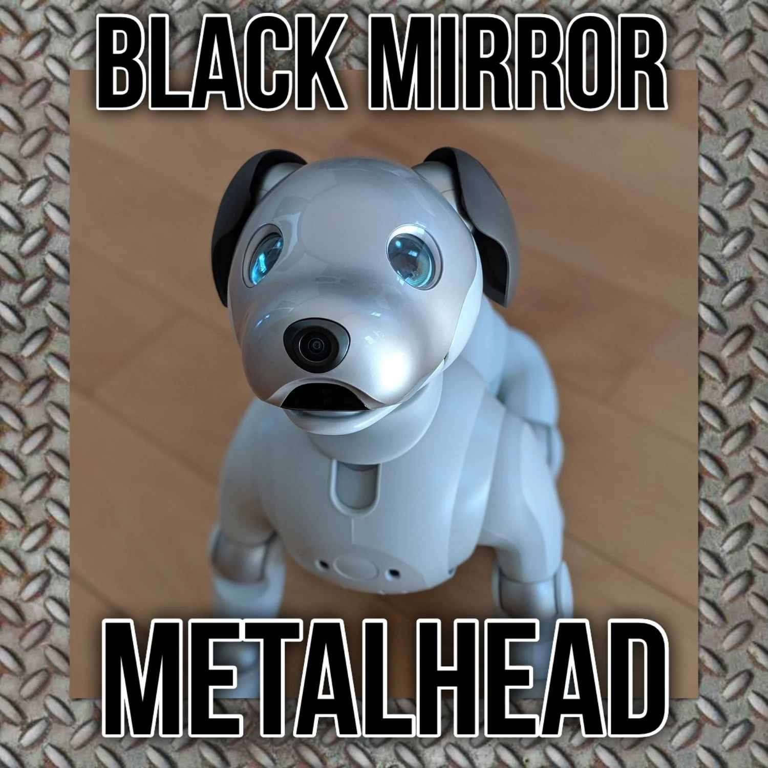 Black Mirror S4 E5 Metalhead episode artwork