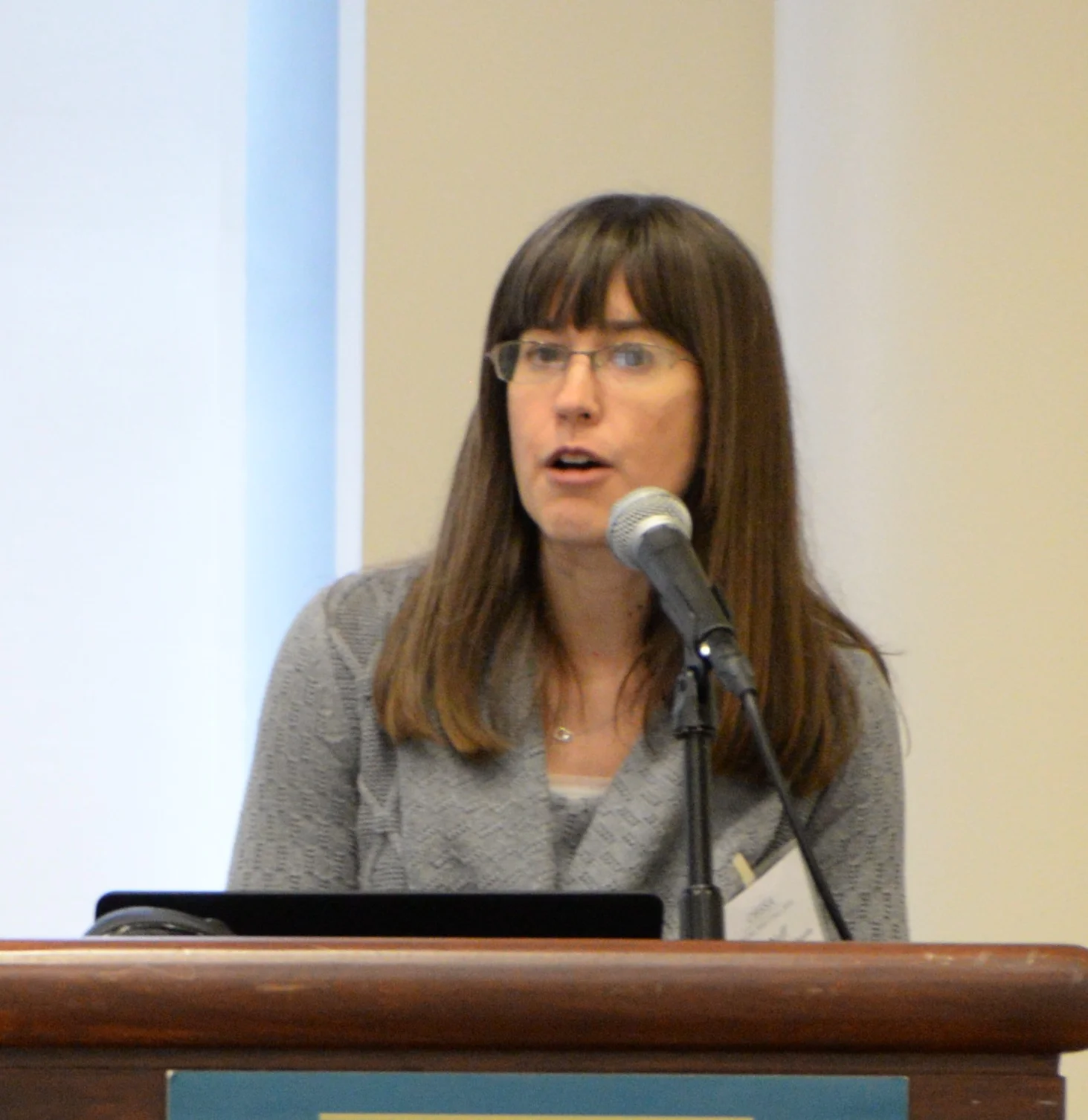 Lisa Neff, University of Texas at Austin, is an Associate Professor in the Department of Human Development and Family Sciences. She has conducted extensive research on marriage and family relationships, with a focus on understanding how marriages change and develop over time. Dr. Neff has served as an expert consultant for the Strengthening Healthy Marriage project, sponsored by the Administration on Children and Families, and has been the recipient of numerous awards for her contributions to relationship science, including the Caryl E. Rusbult Early Career Award from the Society of Personality and Social Psychology.