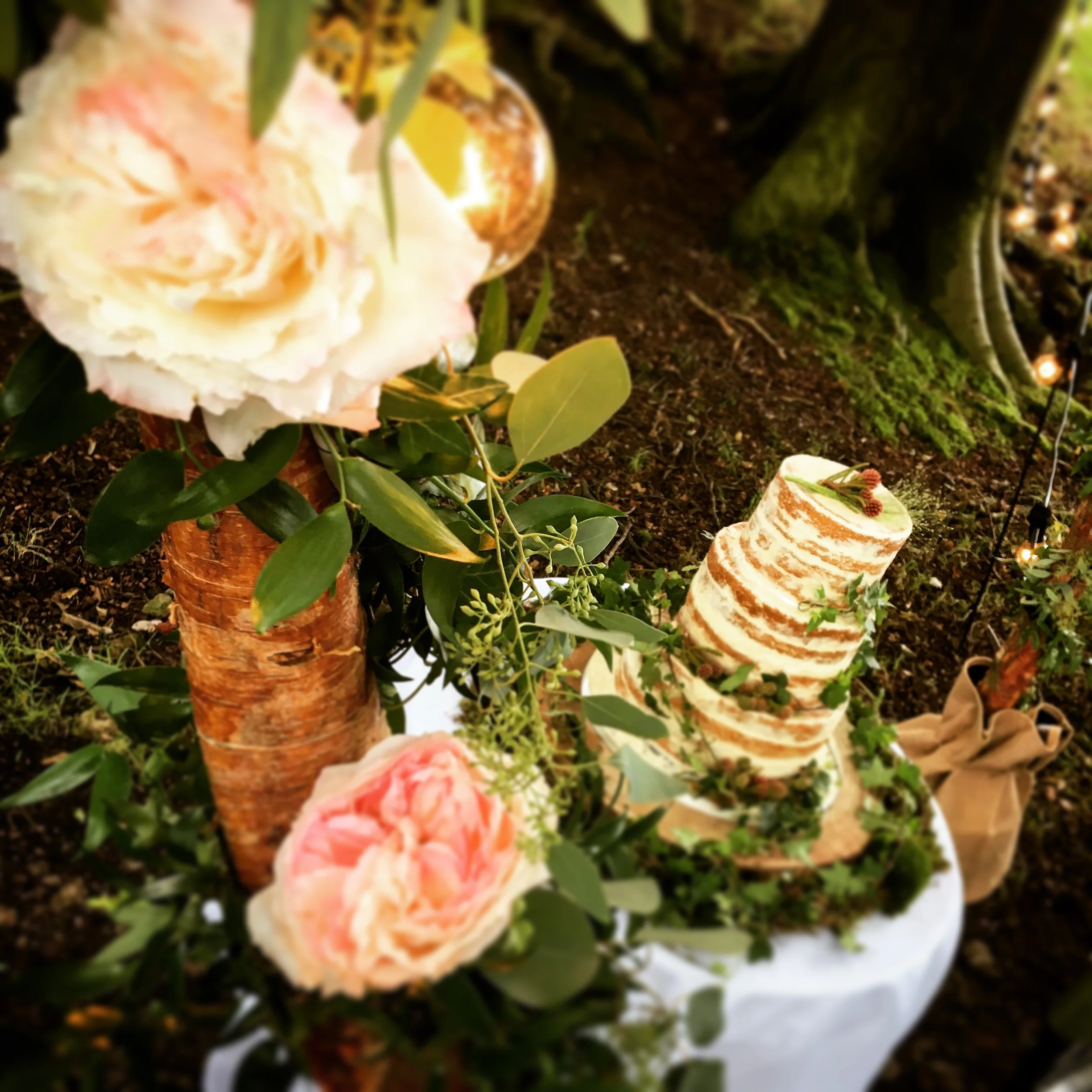 Now our Wooden Light Arch just frames that cake by Bloomsbury Cakes amazingly well !! stunning