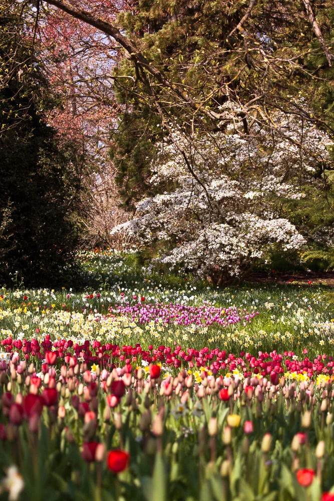 Mainau