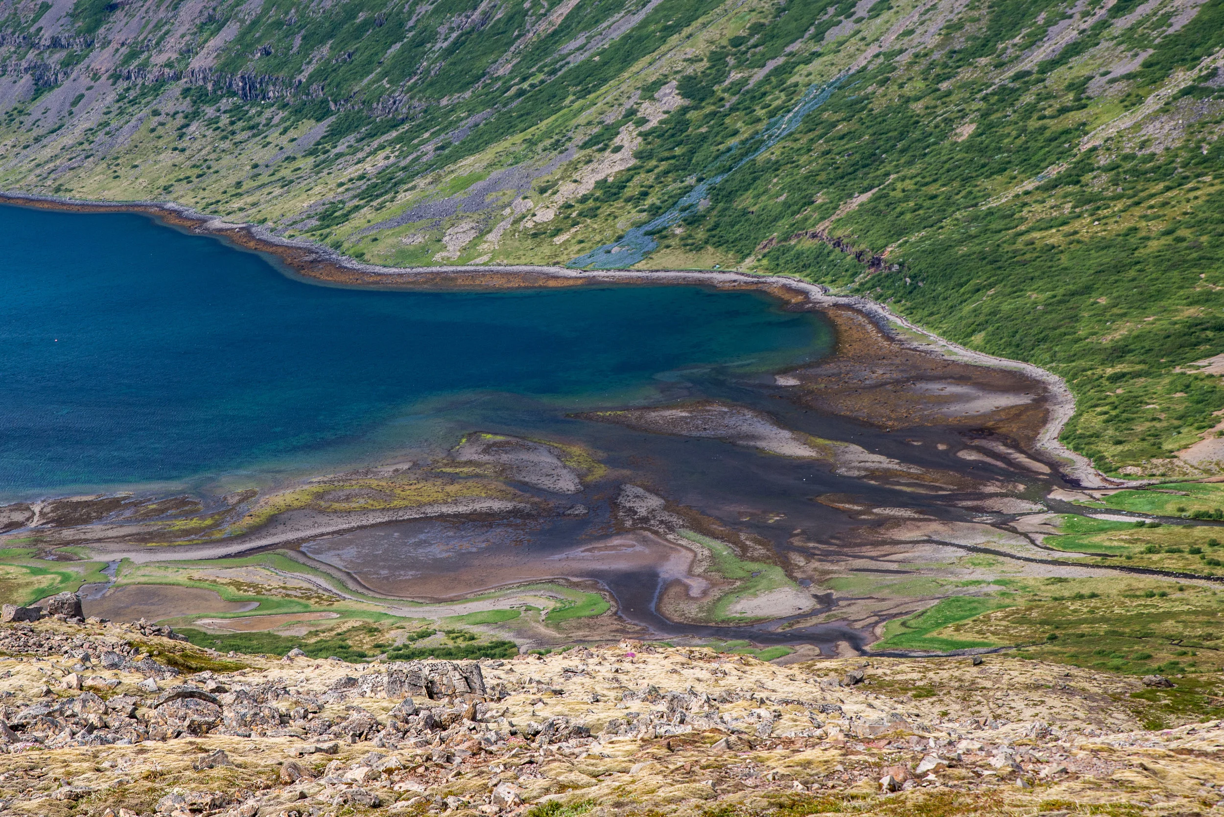 013_AUN_1472.jpg