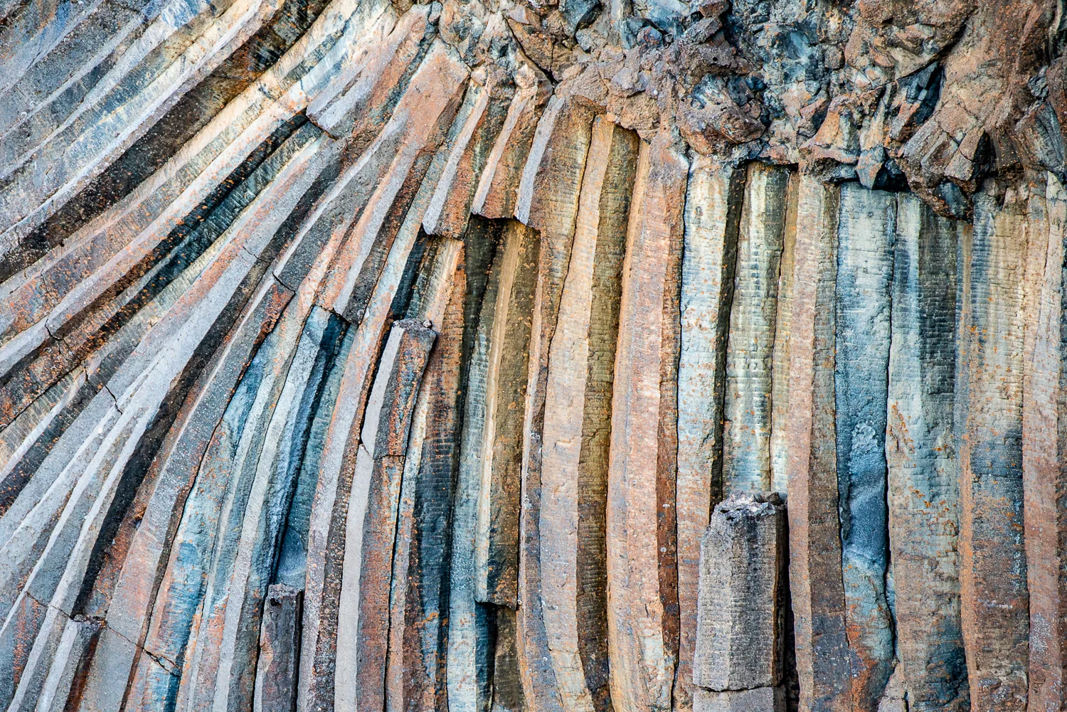 005_KAU_6307.jpg
