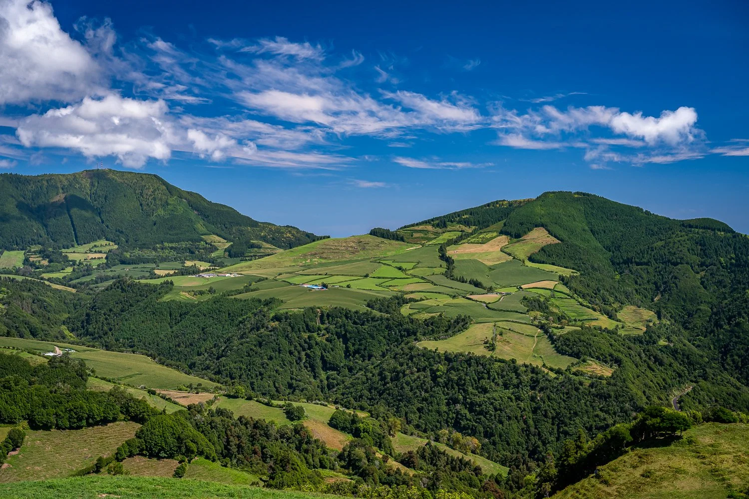 009_AUN_6724.jpg
