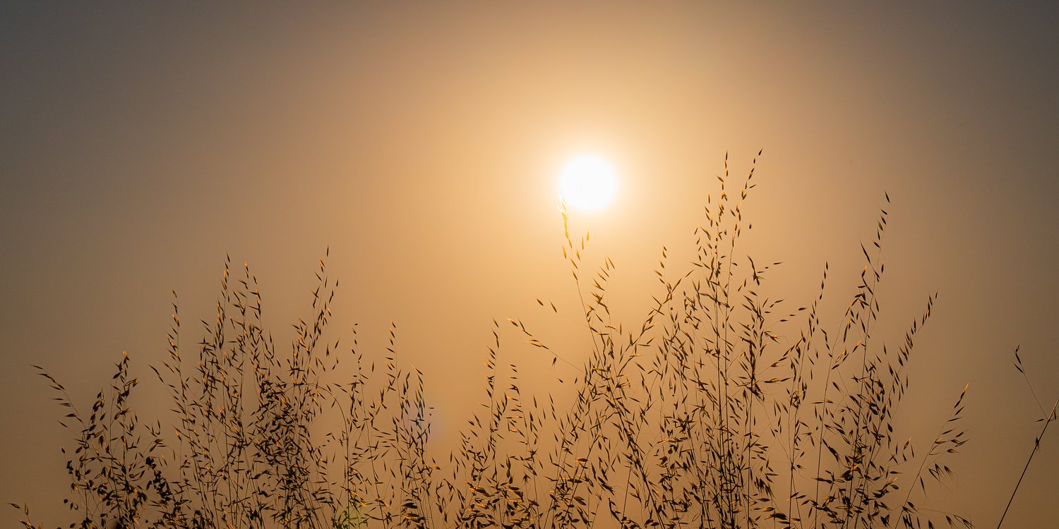 062_KAU_5659.jpg