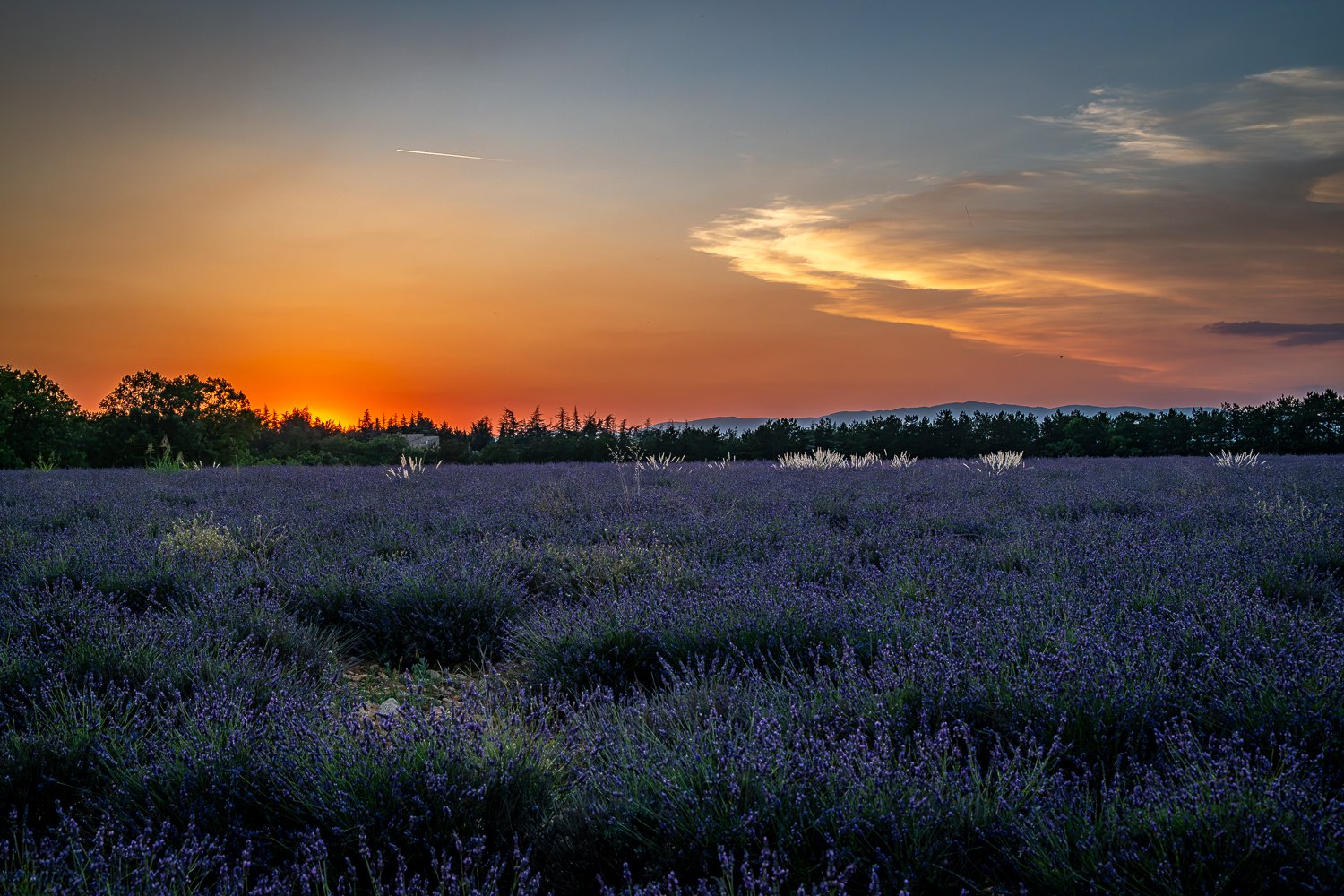 074_AUN_1580.jpg