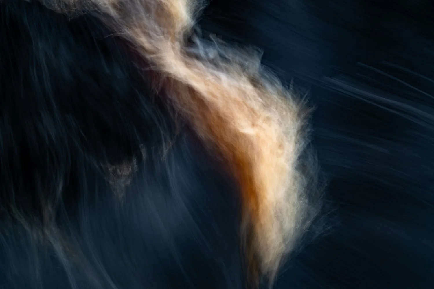 010_AUN_4536.jpg