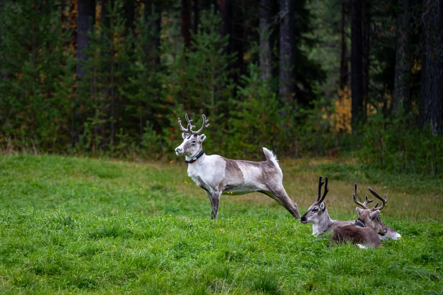 017_AUN_3559.jpg