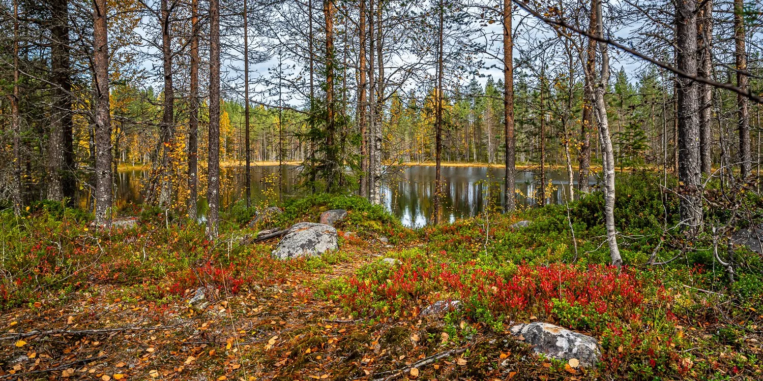 051_AUN_5582.jpg