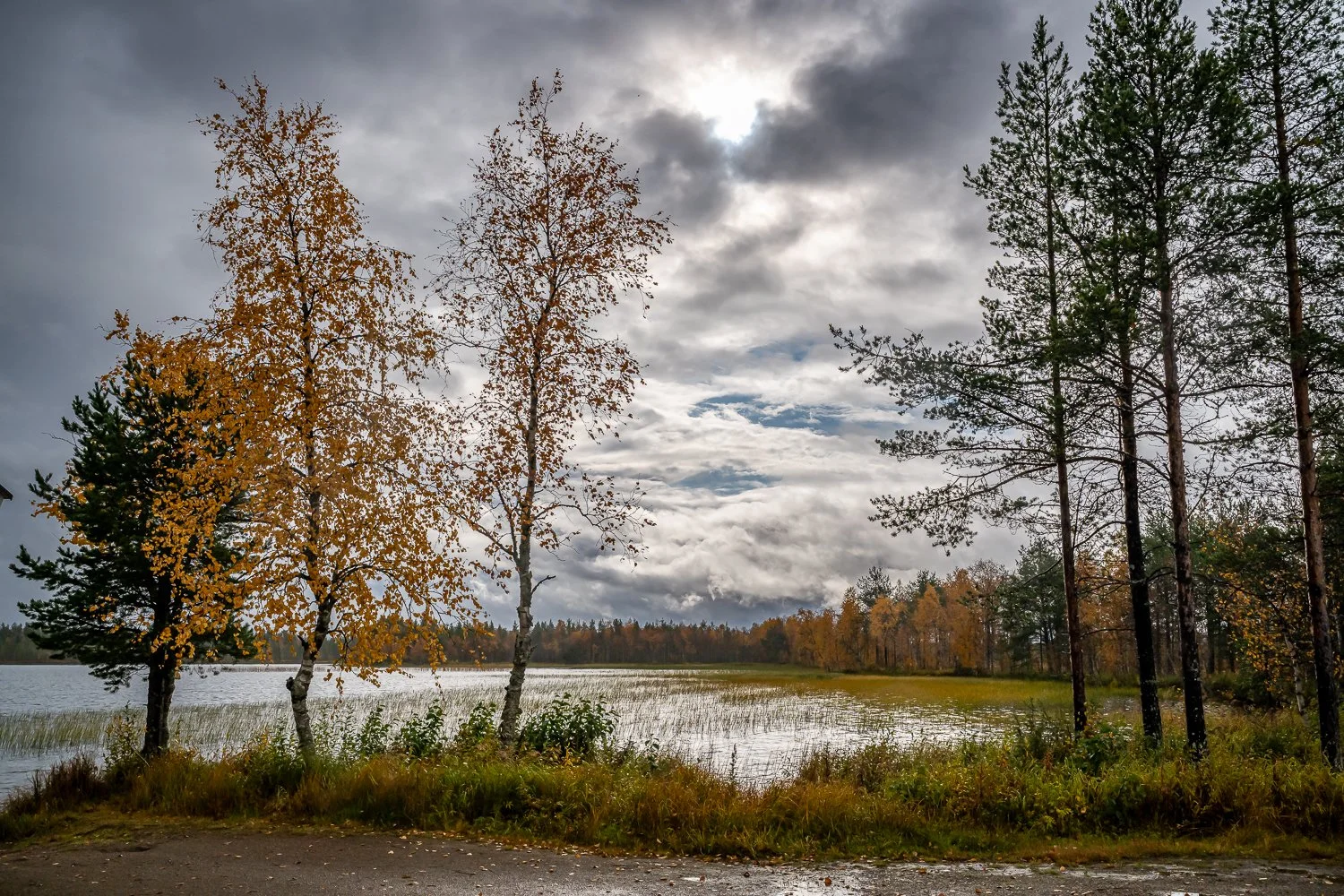 073_AUN_5893.jpg