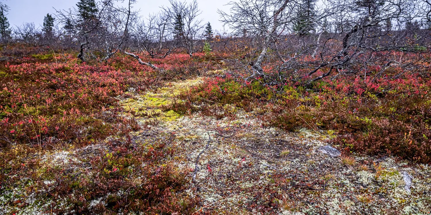 087_AUN_6106.jpg
