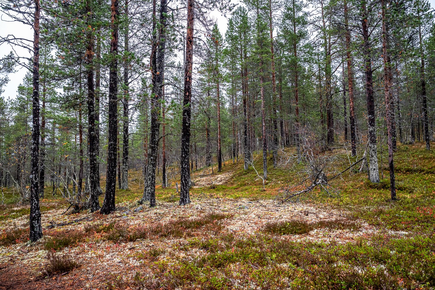 095_AUN_6208.jpg