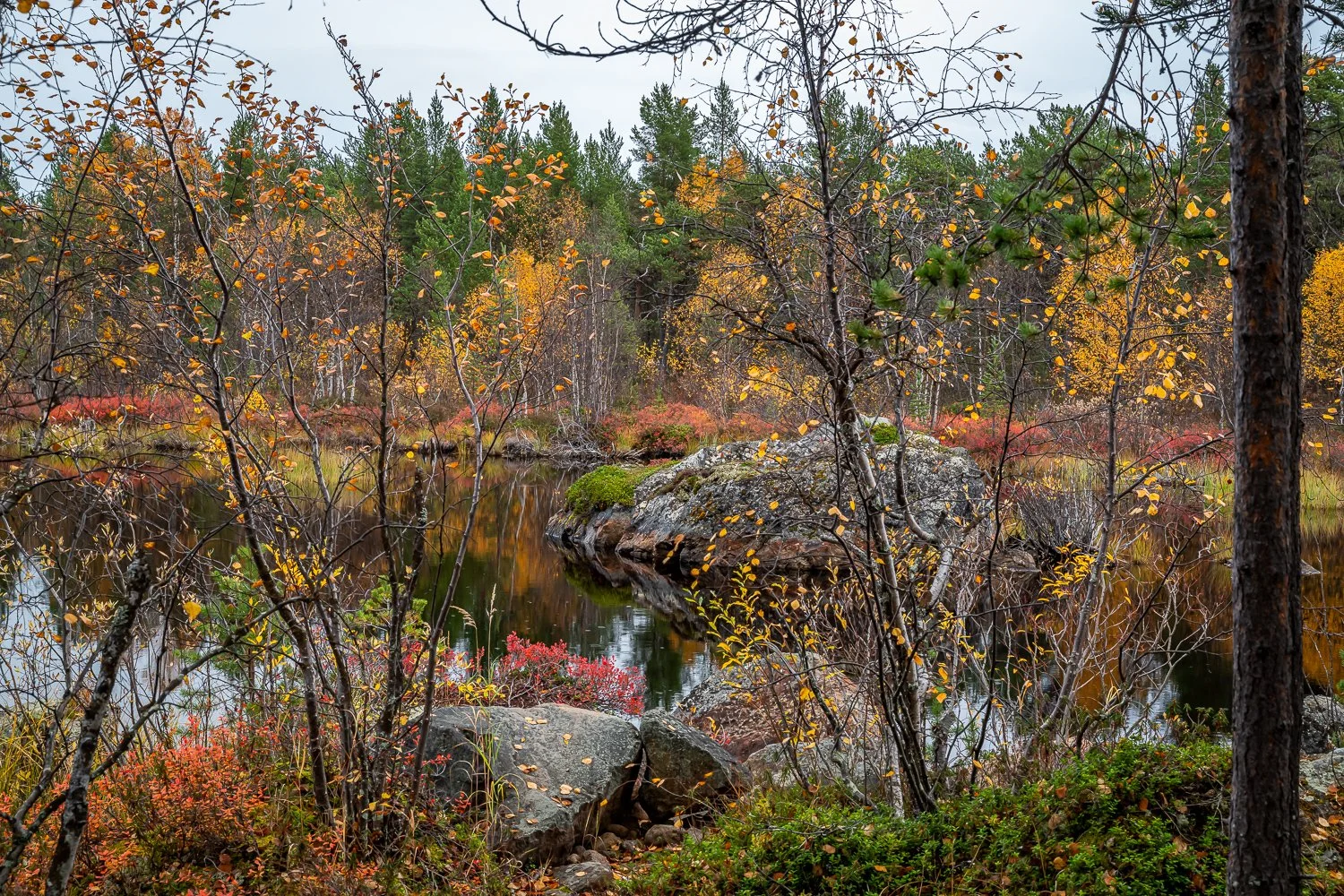 102_AUN_6281.jpg