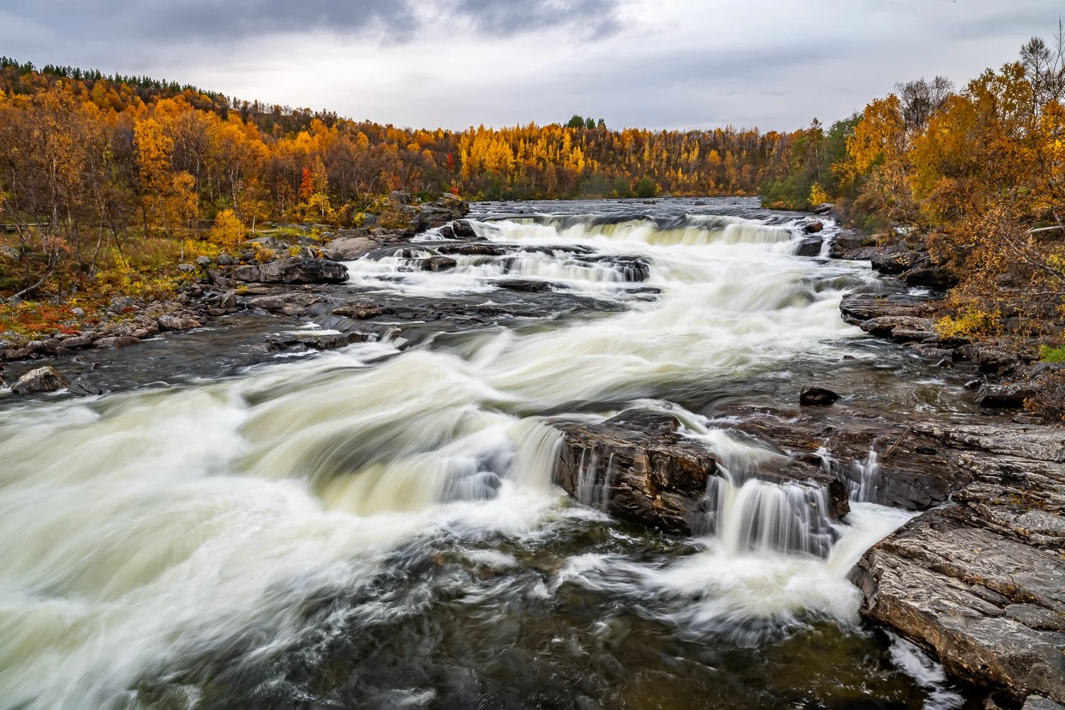 114_AUN_6461.jpg