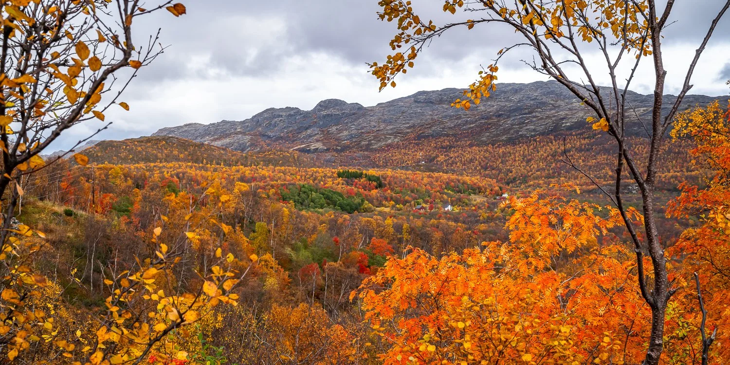 124_AUN_6583.jpg