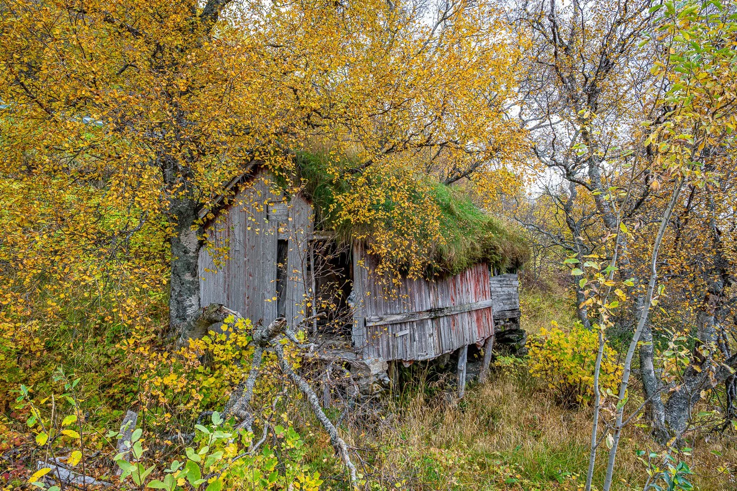 198_AUN_7214.jpg