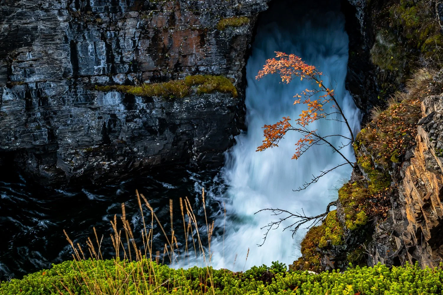 208_AUN_7338.jpg