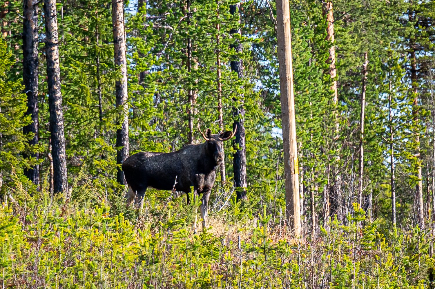 239_KAU_7855.jpg