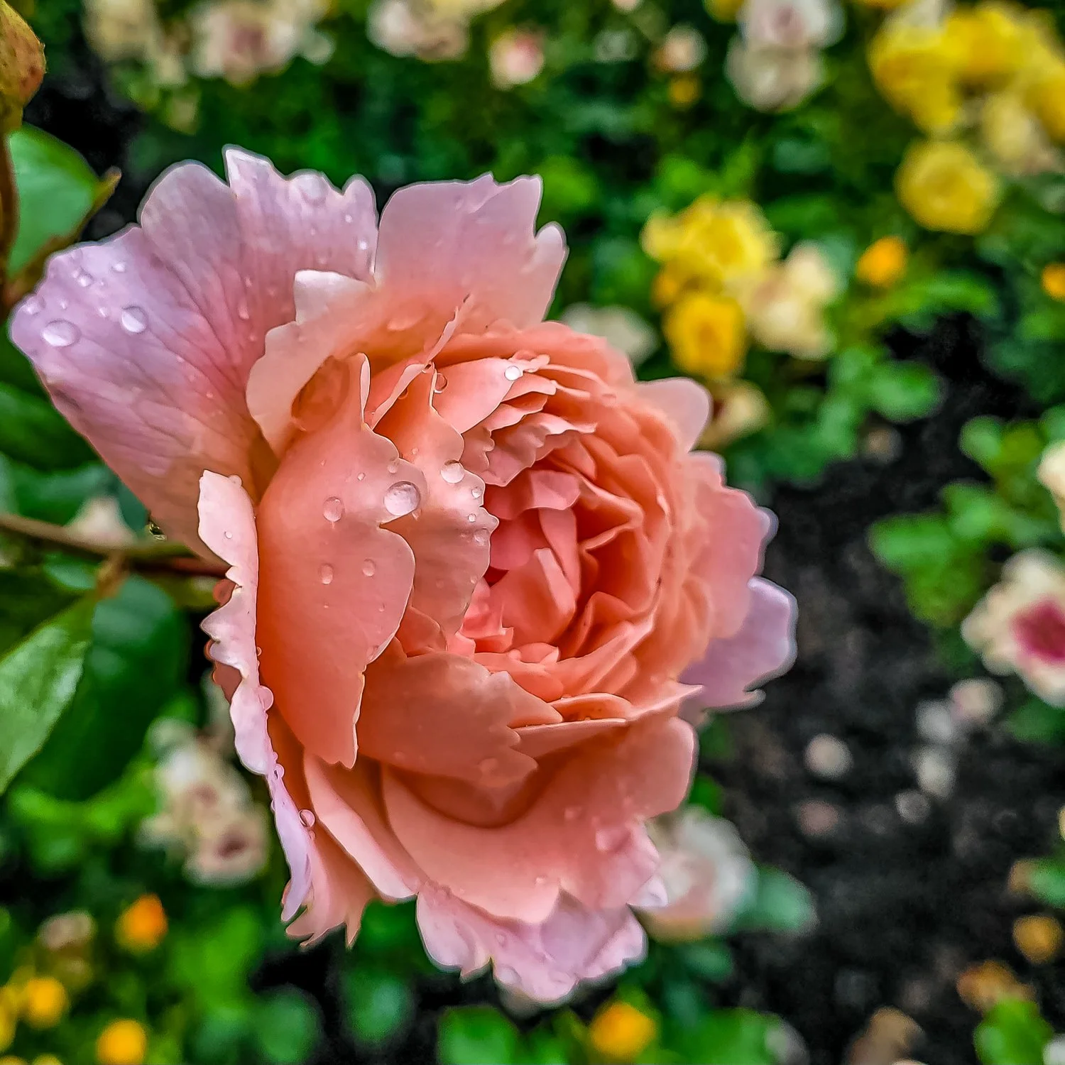 smartphone fotokurs, fotokurse, winterthur, Schaffhausen, Frauenfeld, Zürich, photo-unger.com, grusskarten, bilderverkauf, langzeitbelichtung