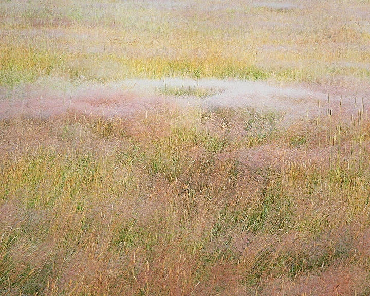 "Clouds of Blooming Grasses"
