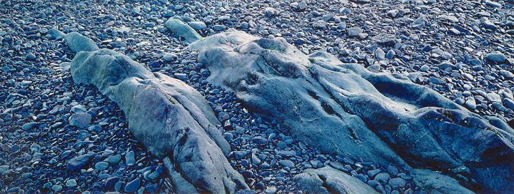 "Campobello Stone Figures"