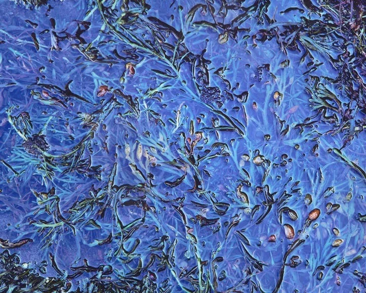 "Blue Melange"