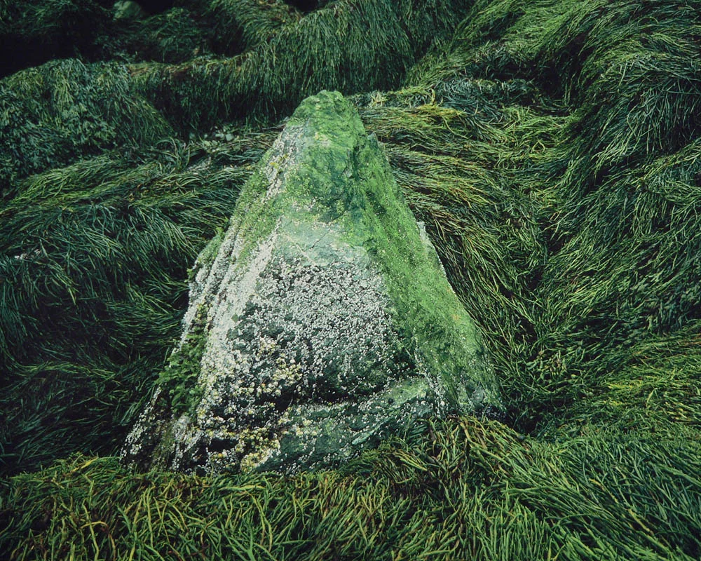 "Sea Stone"