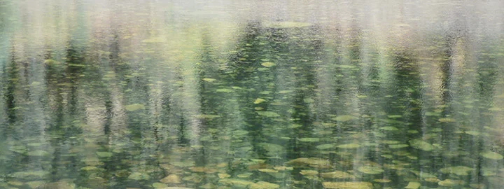 "Emerald Merced"