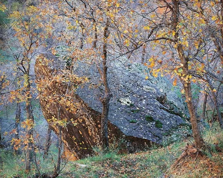 "Fallen Rock"