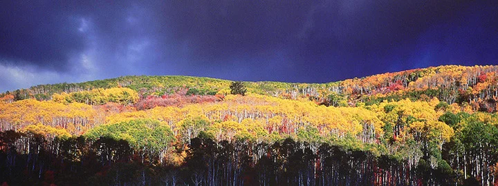 "Autumn Tempest"