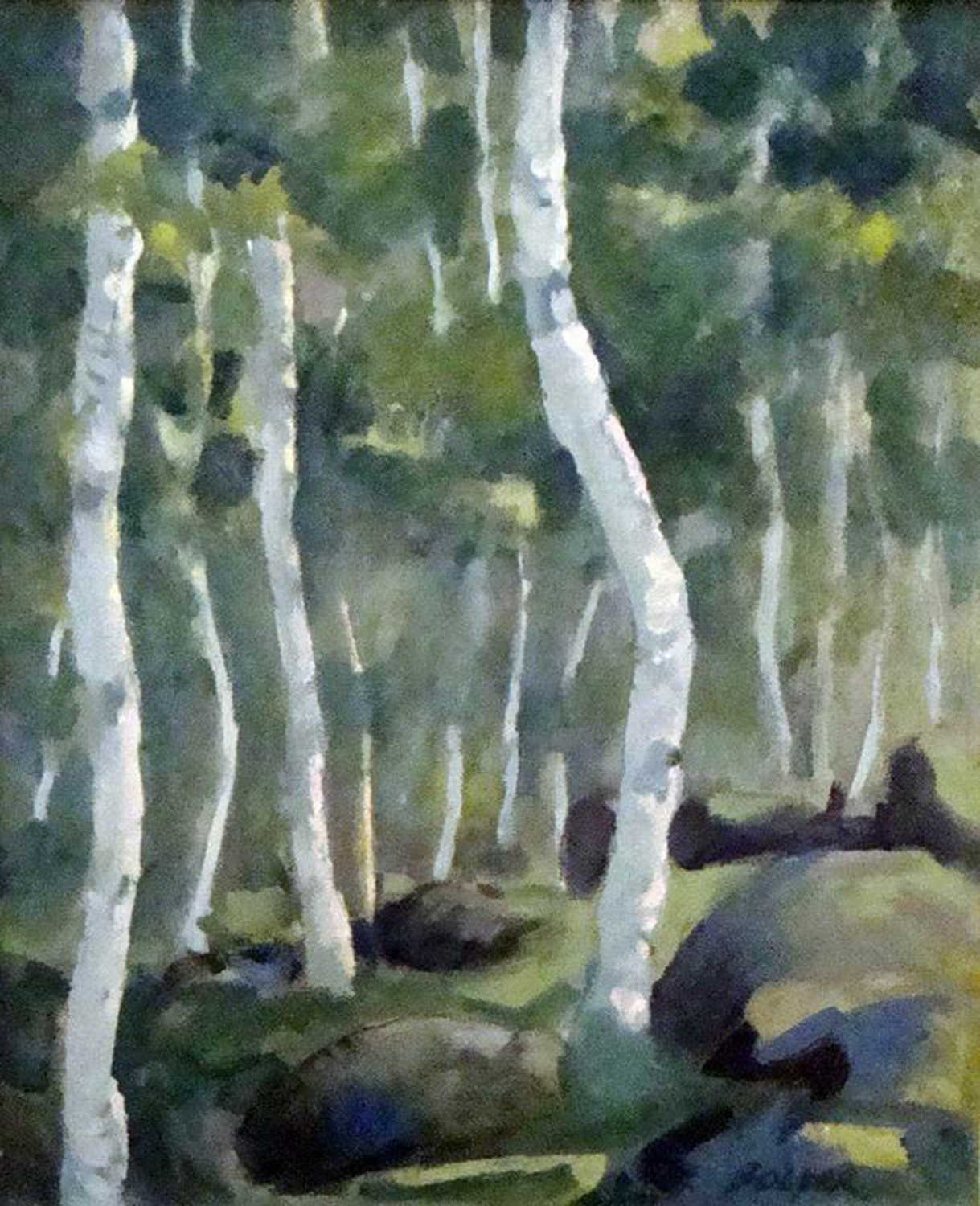 Bar Harbor Birch Trees No. 2