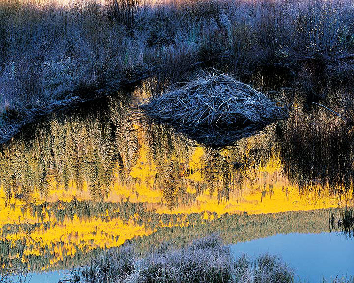 Christopher Burkett "Beaver Lodge at Sunrise," Colorado Cibachrome Photograph Available in 20" x 24", 30" x 40", and 40" x 50" 