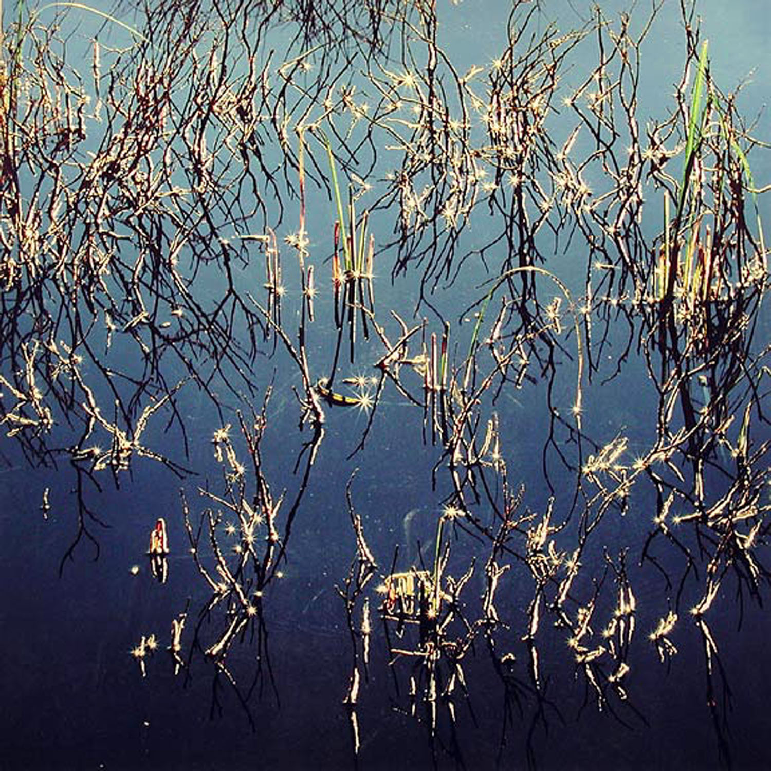 Christopher Burkett "Beaver Pond, Ice, and Sunstars," Colorado Cibachrome Photograph Available in 20" x 20", 30" x 30", and 40" x 40" 