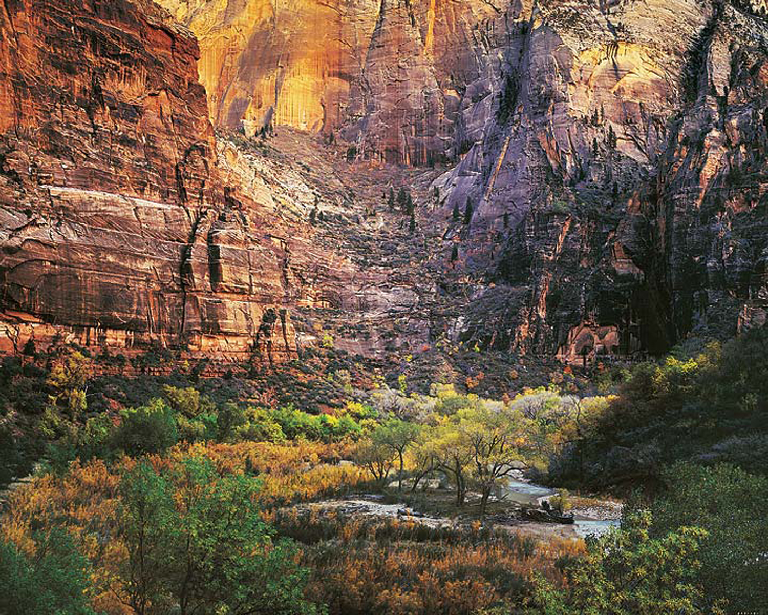 Christopher Burkett "Telluride Aspens," Colorado Cibachrome Photograph Available in 20" x 24", 30" x 40", and 40" x 50"