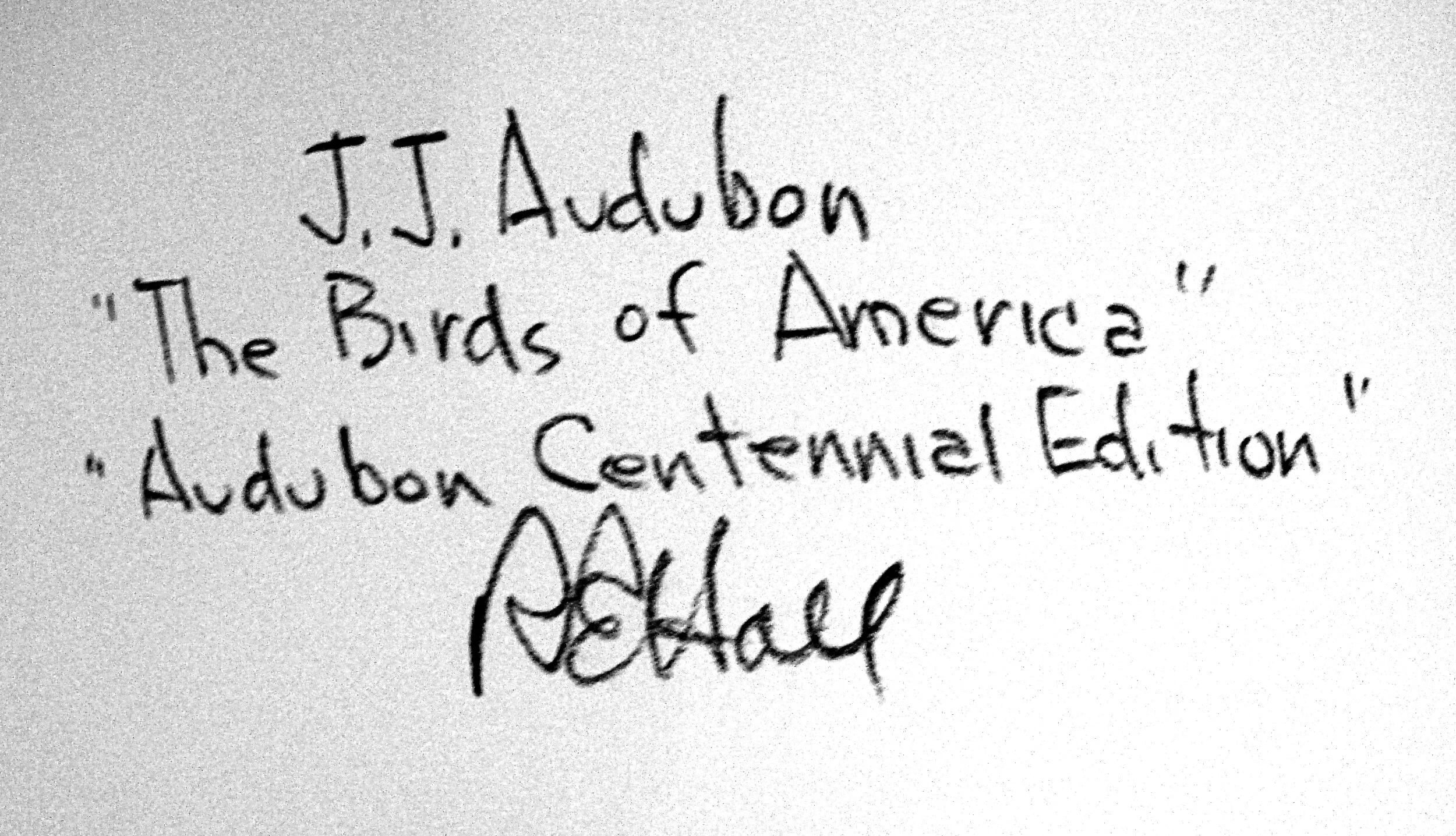 Louisiana Heron John James Audubon Michael Ingbar Gallery