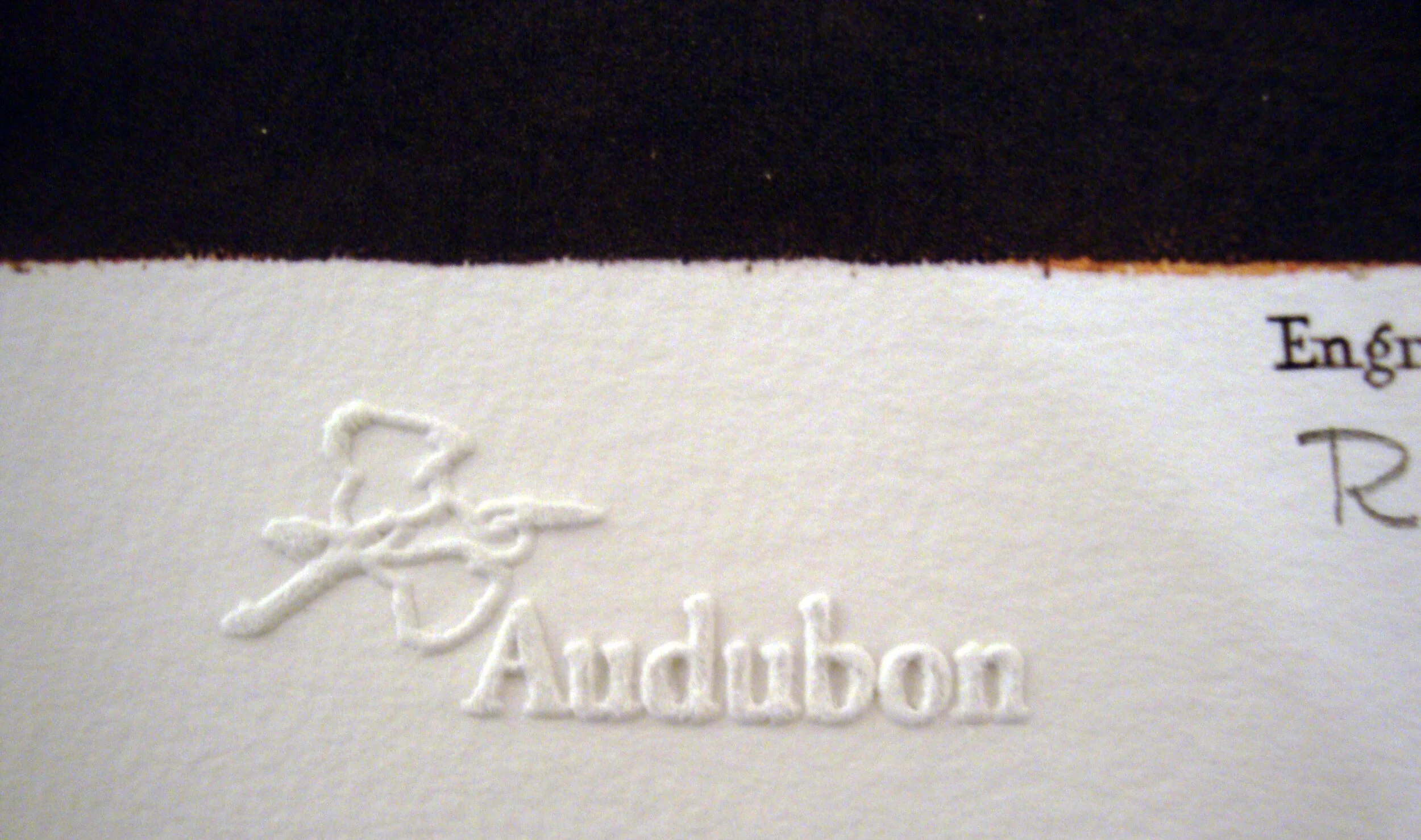 Louisiana Heron John James Audubon Michael Ingbar Gallery