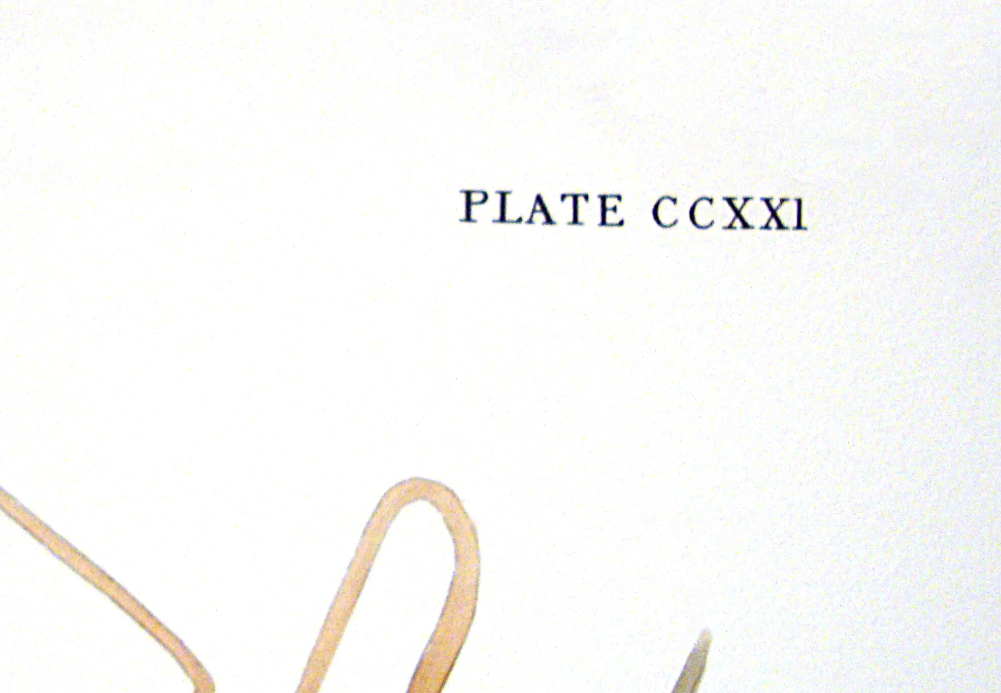 Mallard Duck John James Audubon Michael Ingbar Gallery