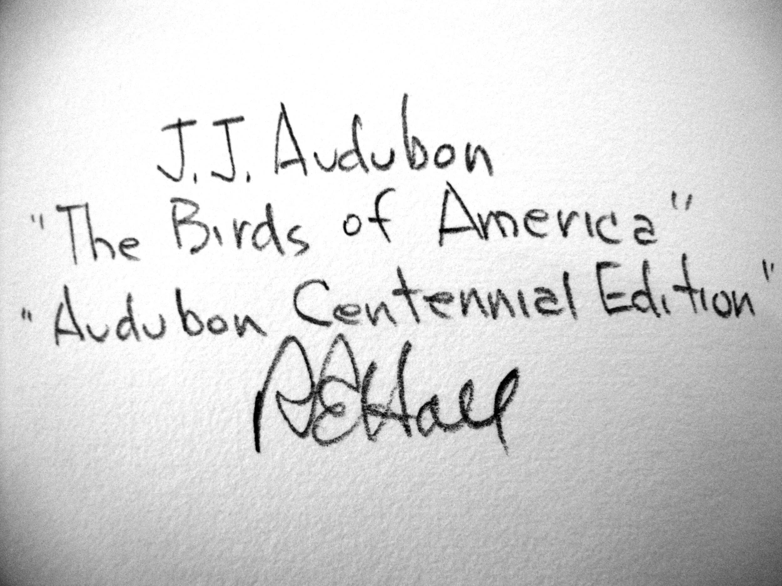 Mallard Duck John James Audubon Michael Ingbar Gallery