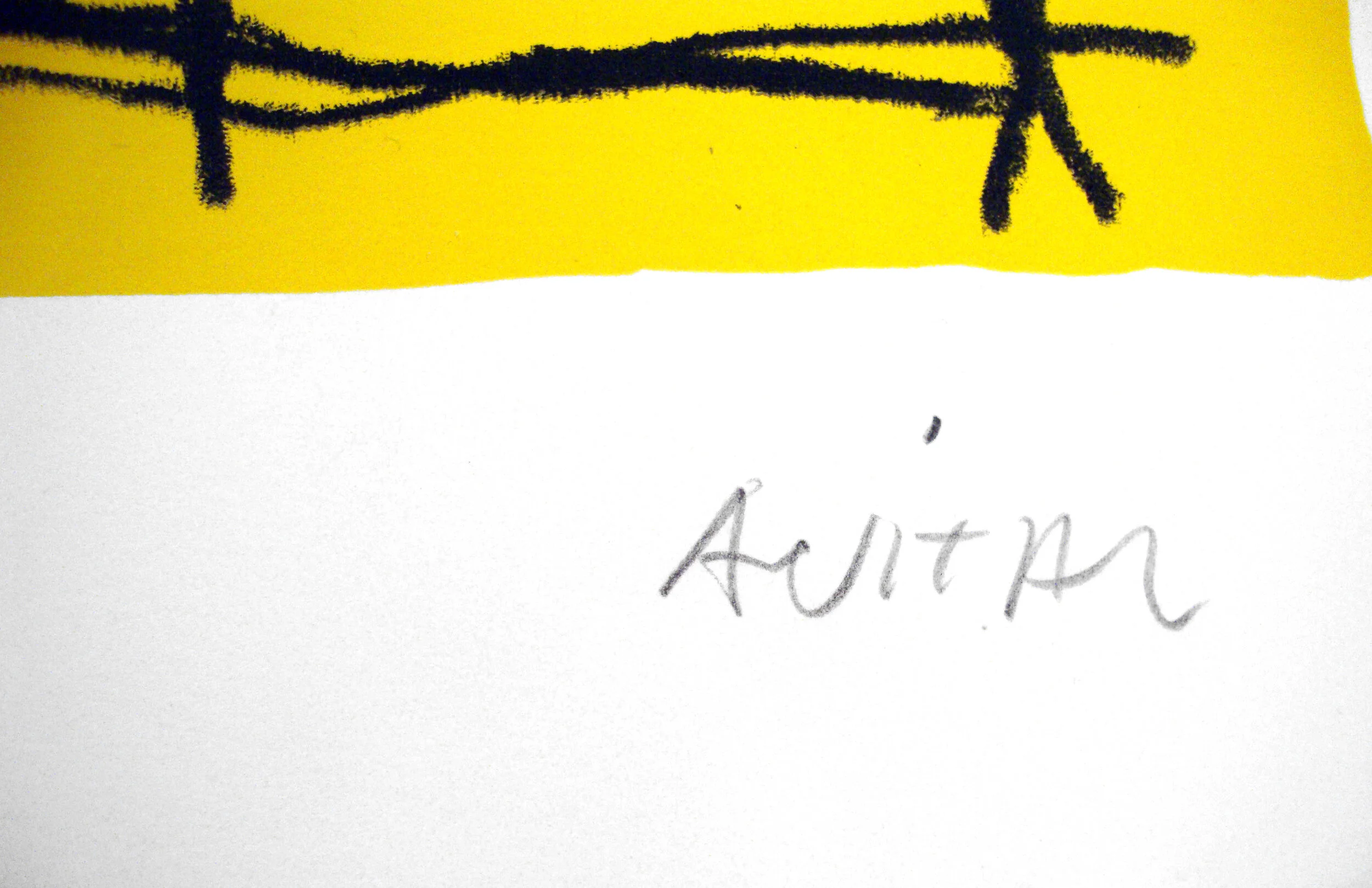 Female Nude, Yellow and Blue Shlomo Avital Michael Ingbar Gallery