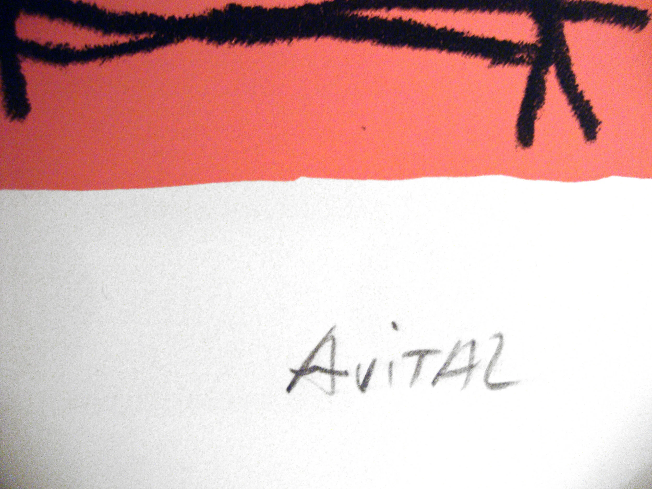 Female Nude, Pink and Blue Shlomo Avital Michael Ingbar Gallery