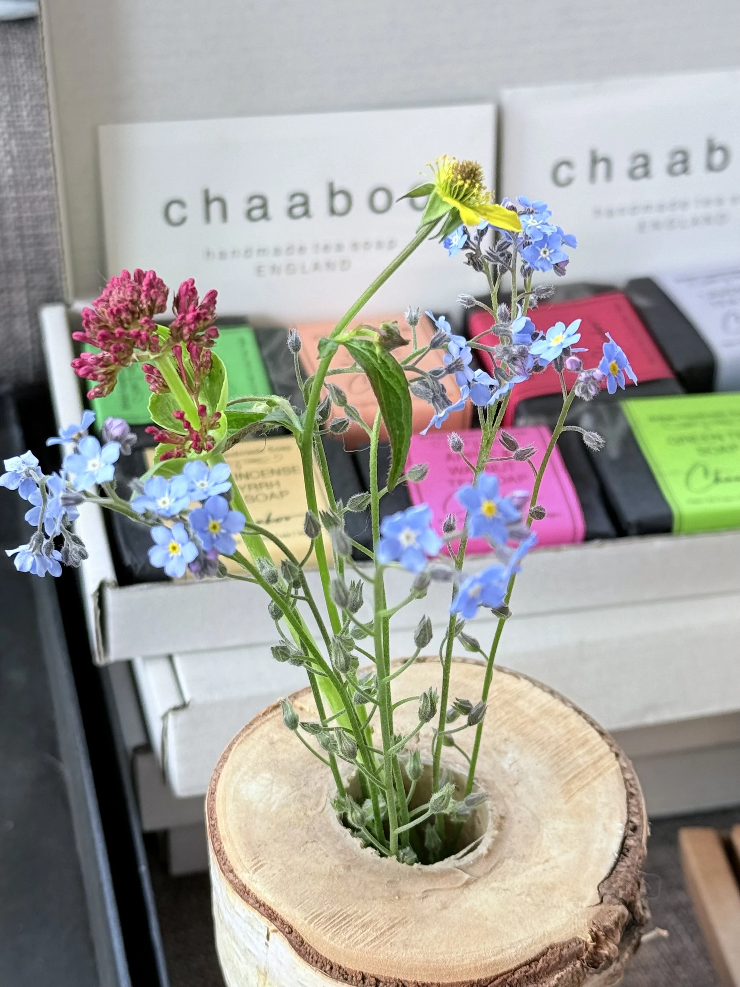 Hergest Croft Gardens Spring Plant Fair 2026