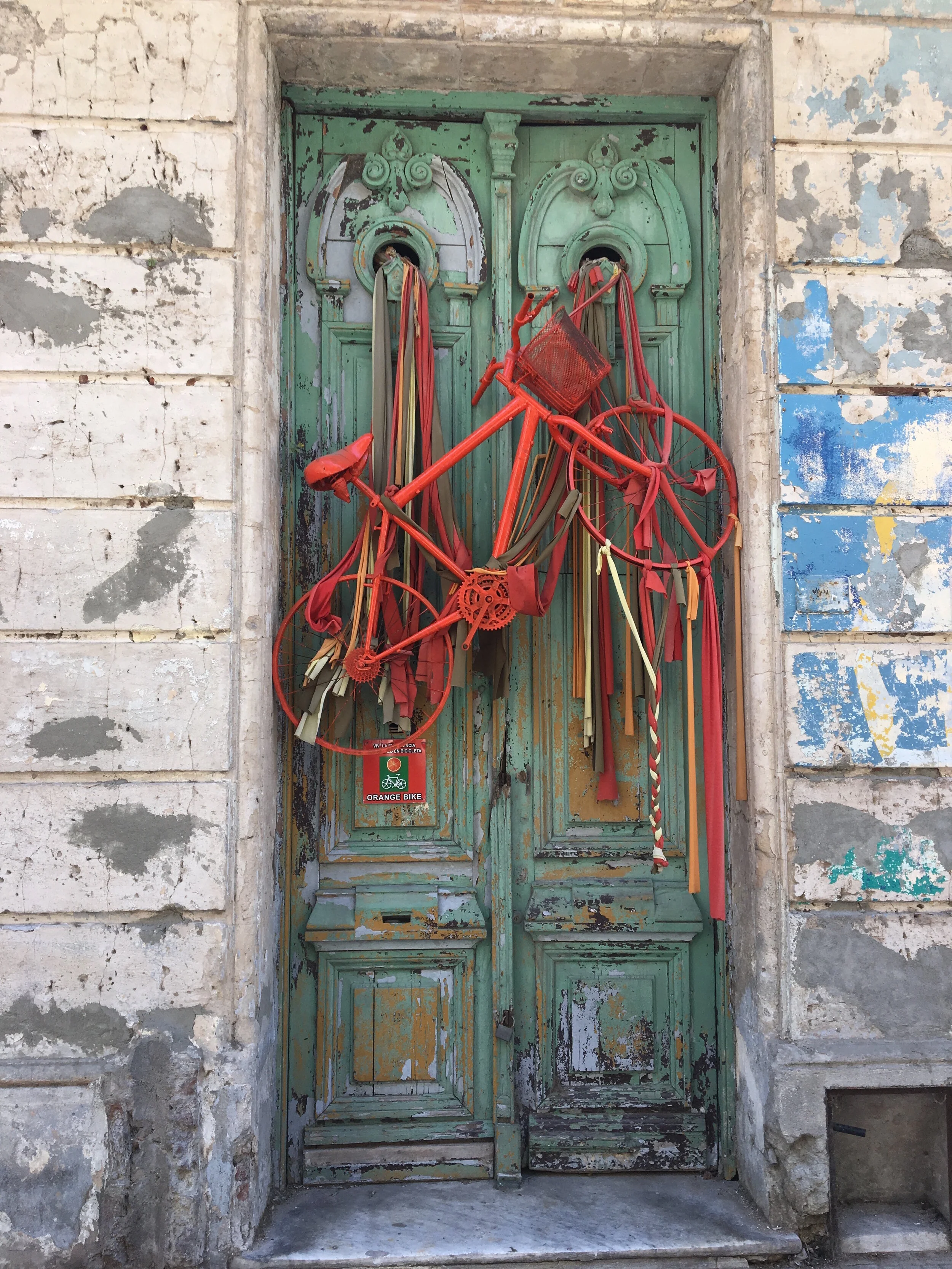 A New Coast to Dive For