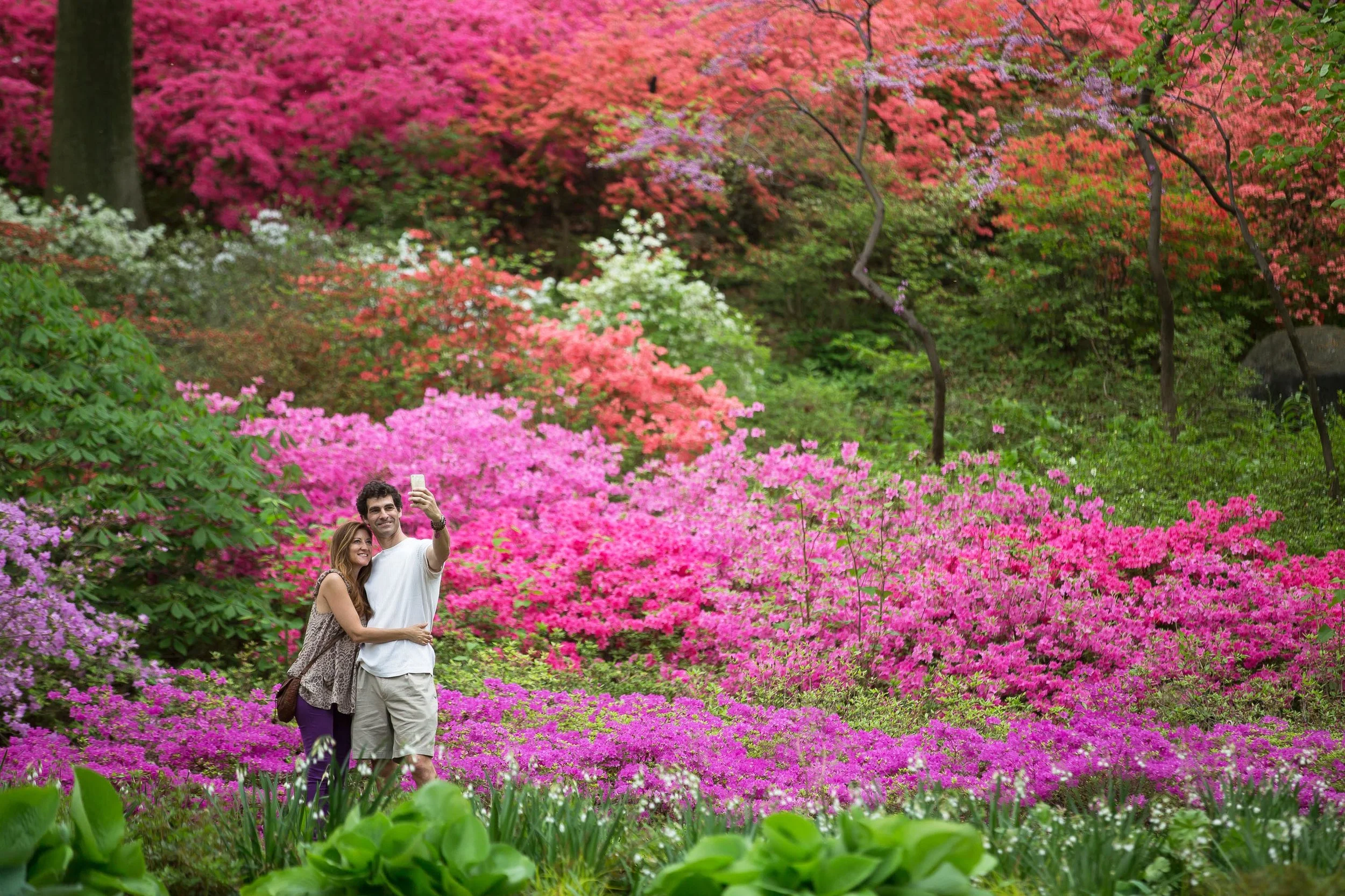  NY Event Photographer NYBG Garden Photo 