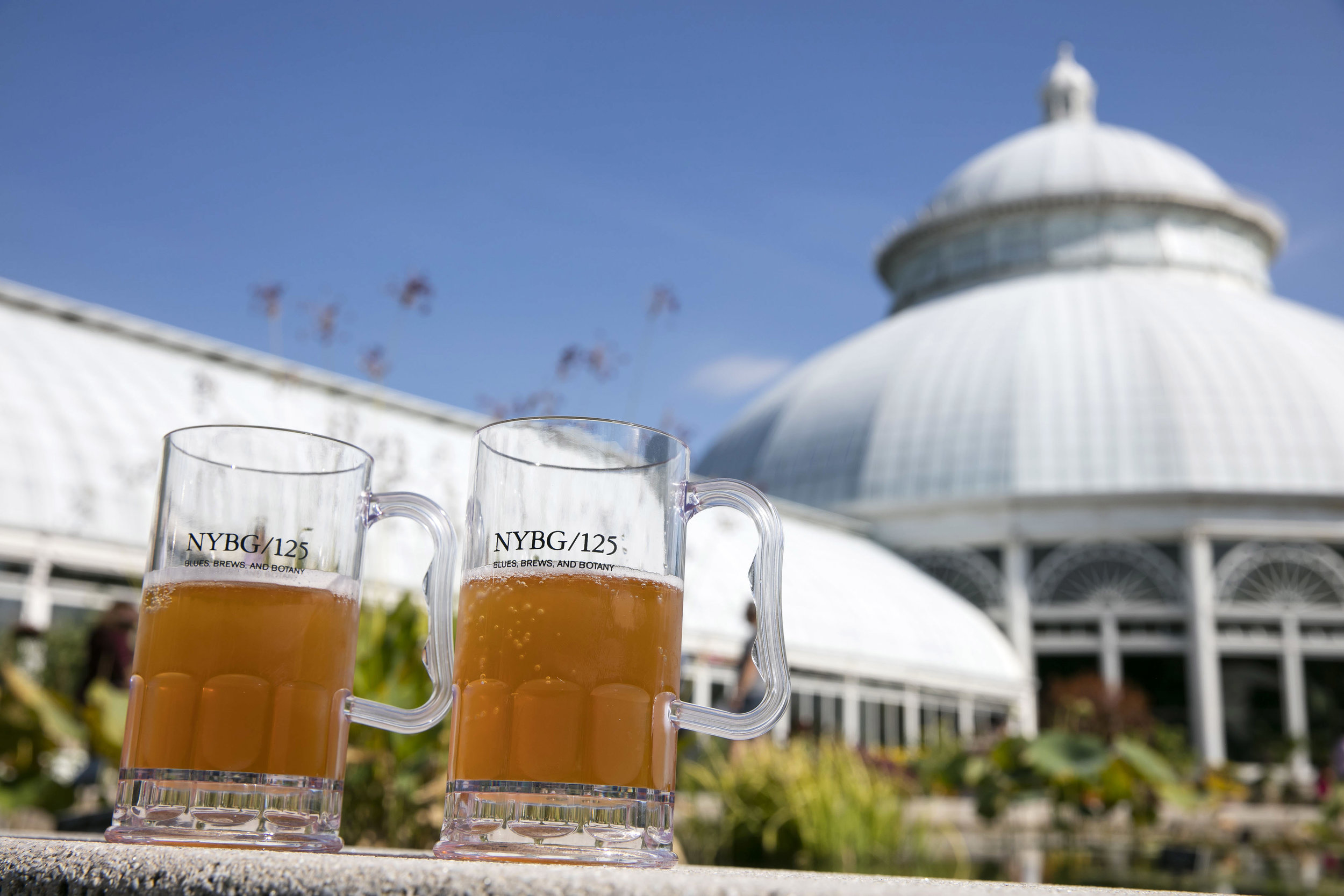 NY Event Photographer NYBG Garden Photo Beer Drink Photography 